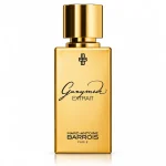 عطر مارک آنتوان باروا گنیمید اکستریت - Marc-Antoine Barrois Ganymede Extrait - اکسترا پرفیوم زنانه و مردانه - گرم، تلخ و ادویه‌ای